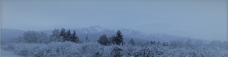 �r�W�l�X����������WordPress�e�[�}�@facade���T�C�g